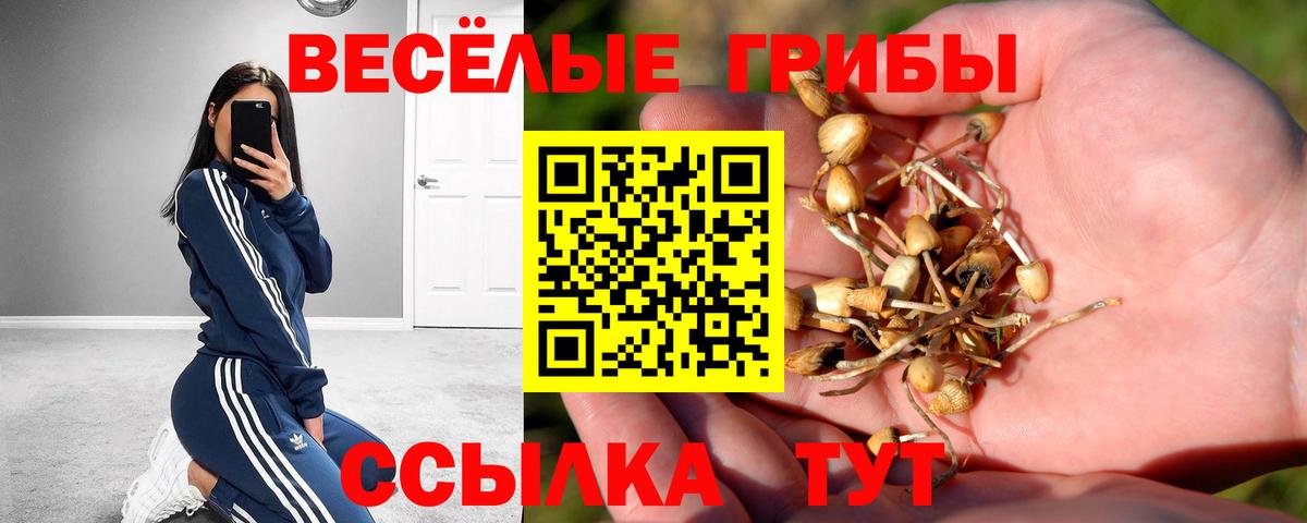 Сертолово  Галлюциногенные грибы Magic Shrooms  Галлюциногенные грибы ЛСД  Вход с VPN 